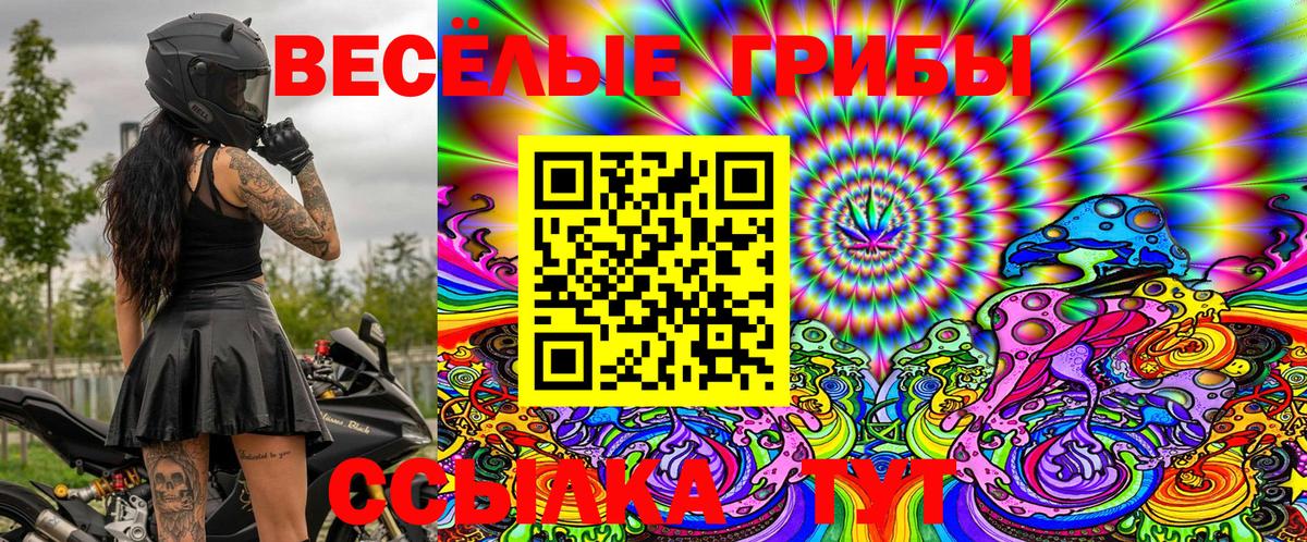Галлюциногенные грибы Cubensis  Псилоцибиновые грибы мицелий  Вход с VPN  Кувандык 